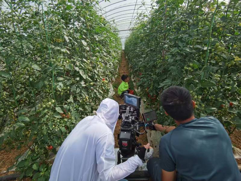 巴州区产品宣传视频拍摄公司进阶指南，助力品牌抢占传播高地